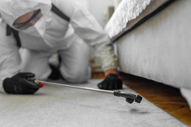 Professional Pest Control technician working in Ohio, OH